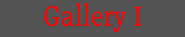 Gallery I.